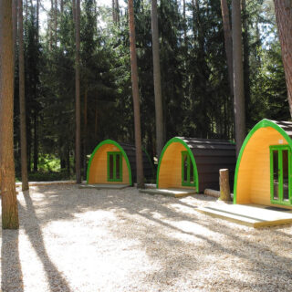 Vier Camping-Pods mit grünen Türen im Wald am Brombachsee